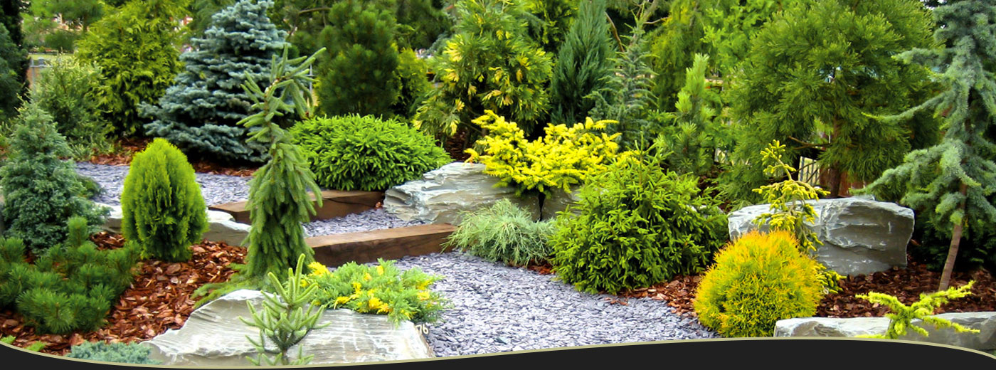 Landscaping Design, Construction and Maintenance Services in Lexington, MA